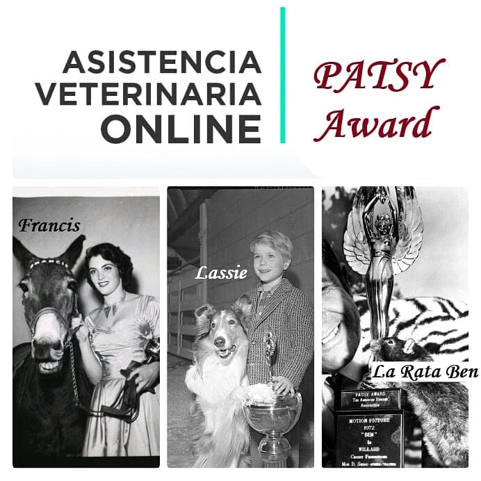 Vida de Perros - Premio PATSY (Picture Animal Top Star of the Year) Fue ...