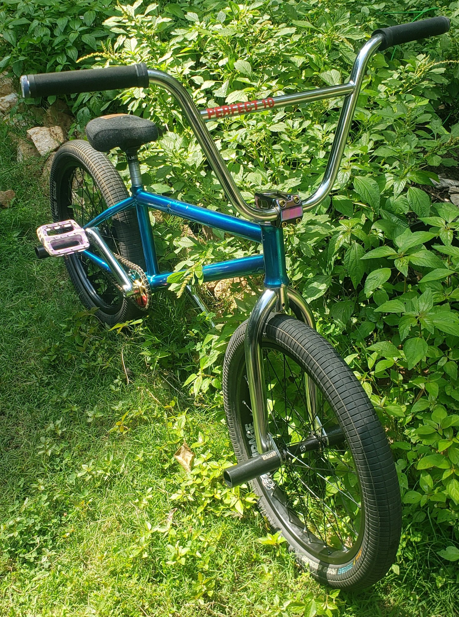Restored 2016 WTP Zodiac Salt Plus BMX bike details