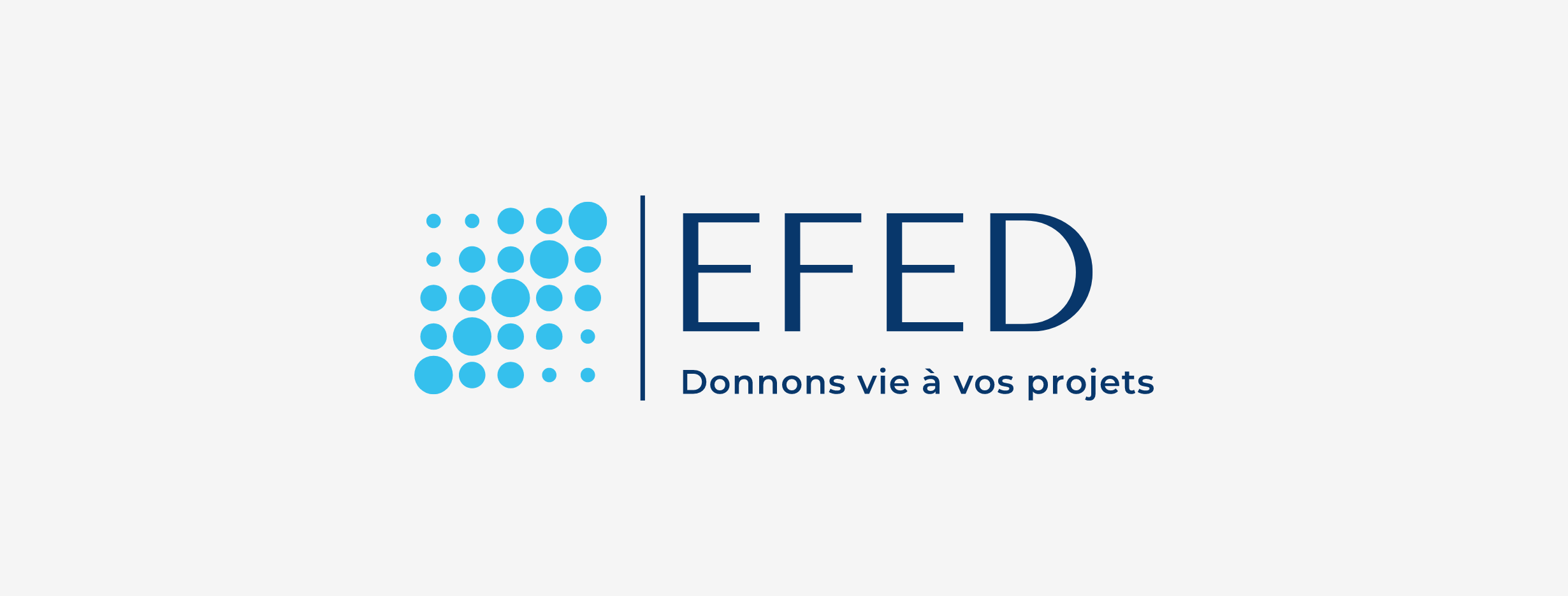 EFED - Etude Française des Energies Durables