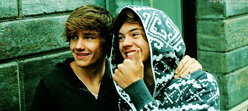 Chronique d'une ado Directioner.