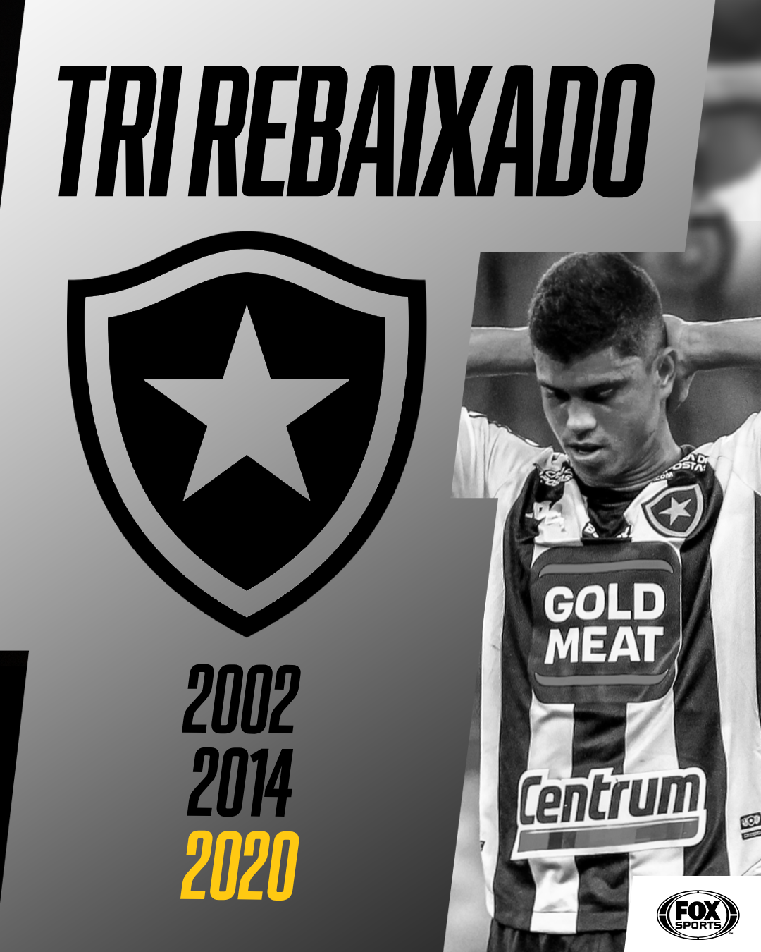 SportsCenterBR - FORÇA, FOGÃO! O Botafogo perde para o Sport e chega ao ...