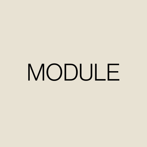 The Module Company