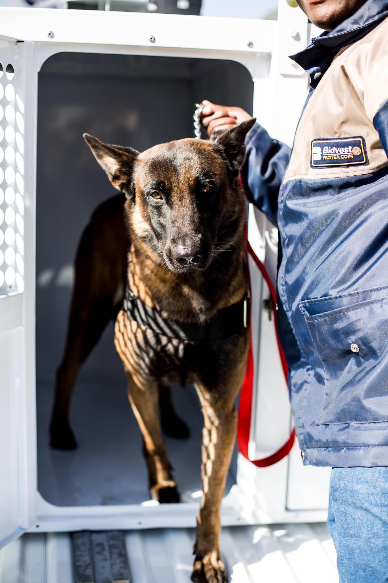 Have you seen our K-9 unit? Trained... - Bidvest Protea Coin | Facebook