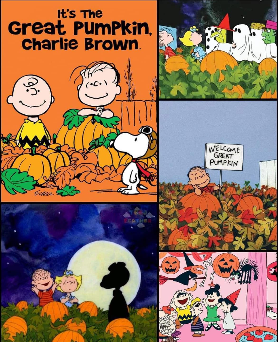 Woodstock has joined Charlie Brown and Snoopy as they wait for the