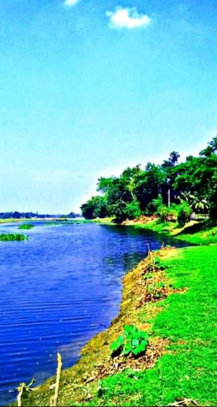 Semul-শিমুল