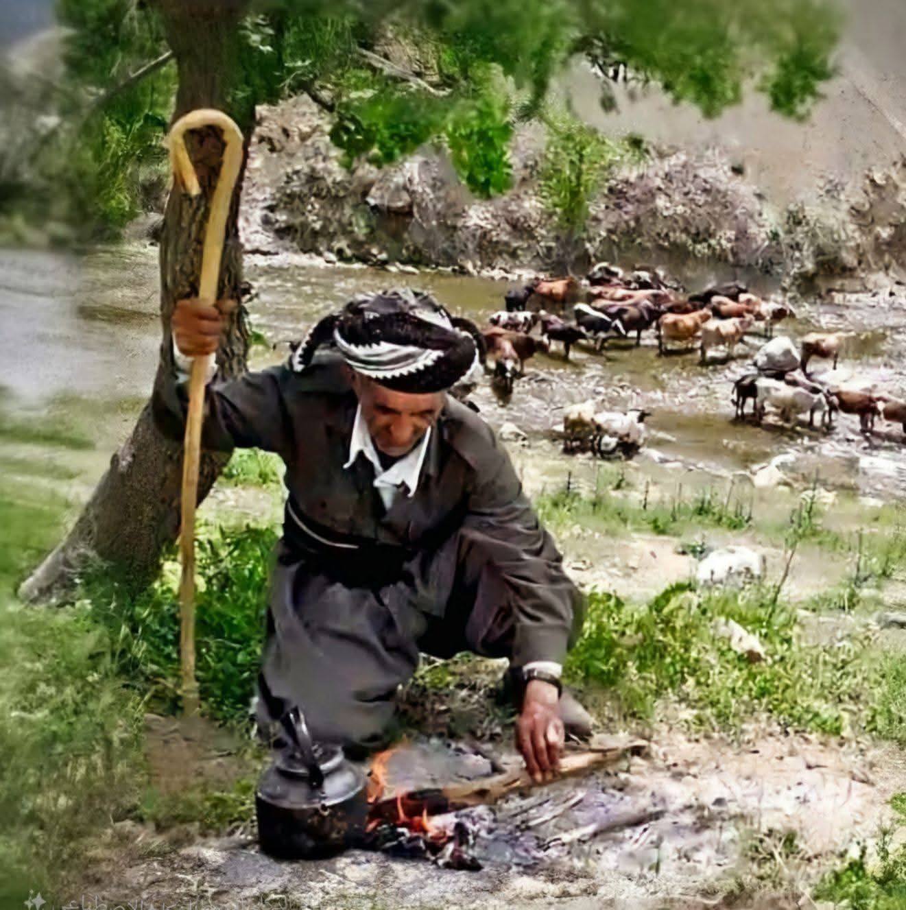 گوند نشين