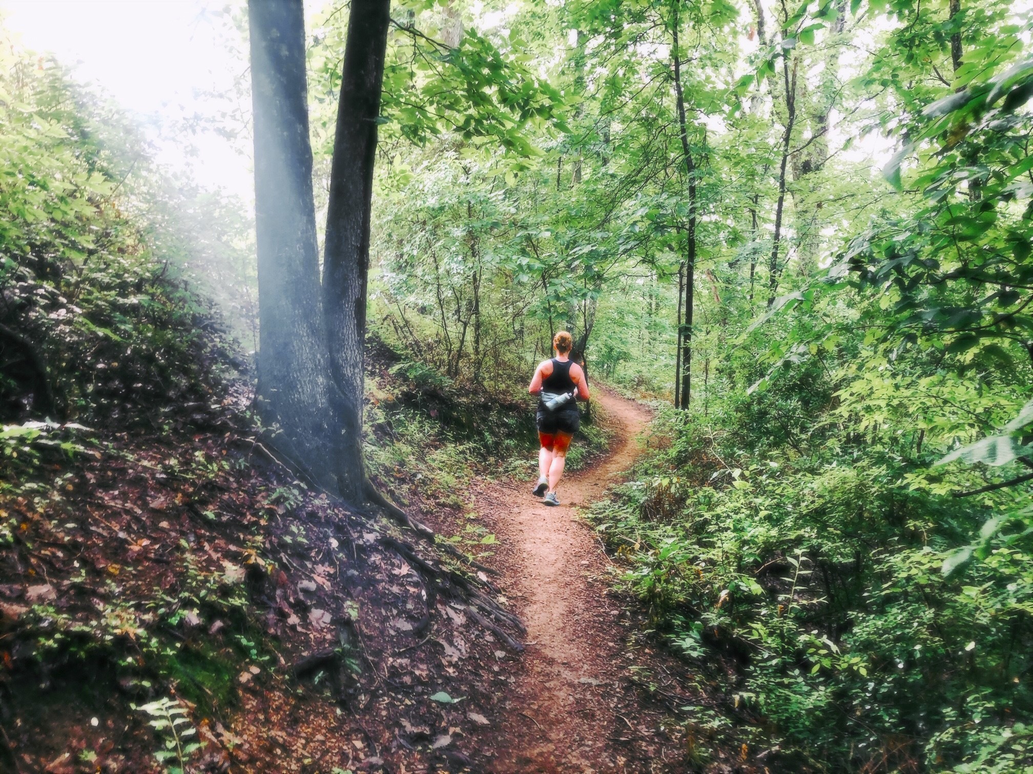 Knoxville Track & Field... - Knoxville Track & Field Club