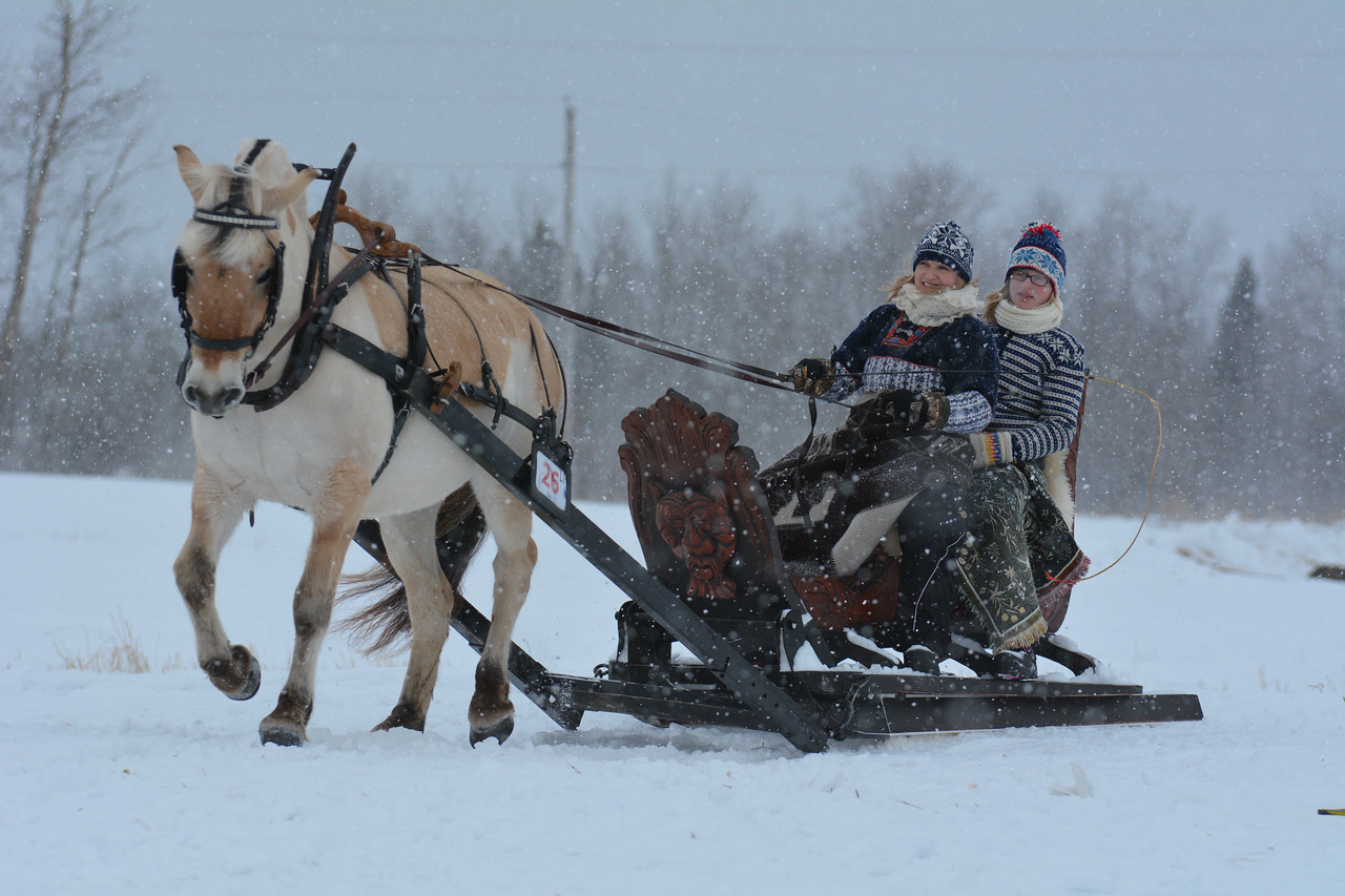 Northwoods Harness Club presents their 35th annual Sleigh and Cutter Rally