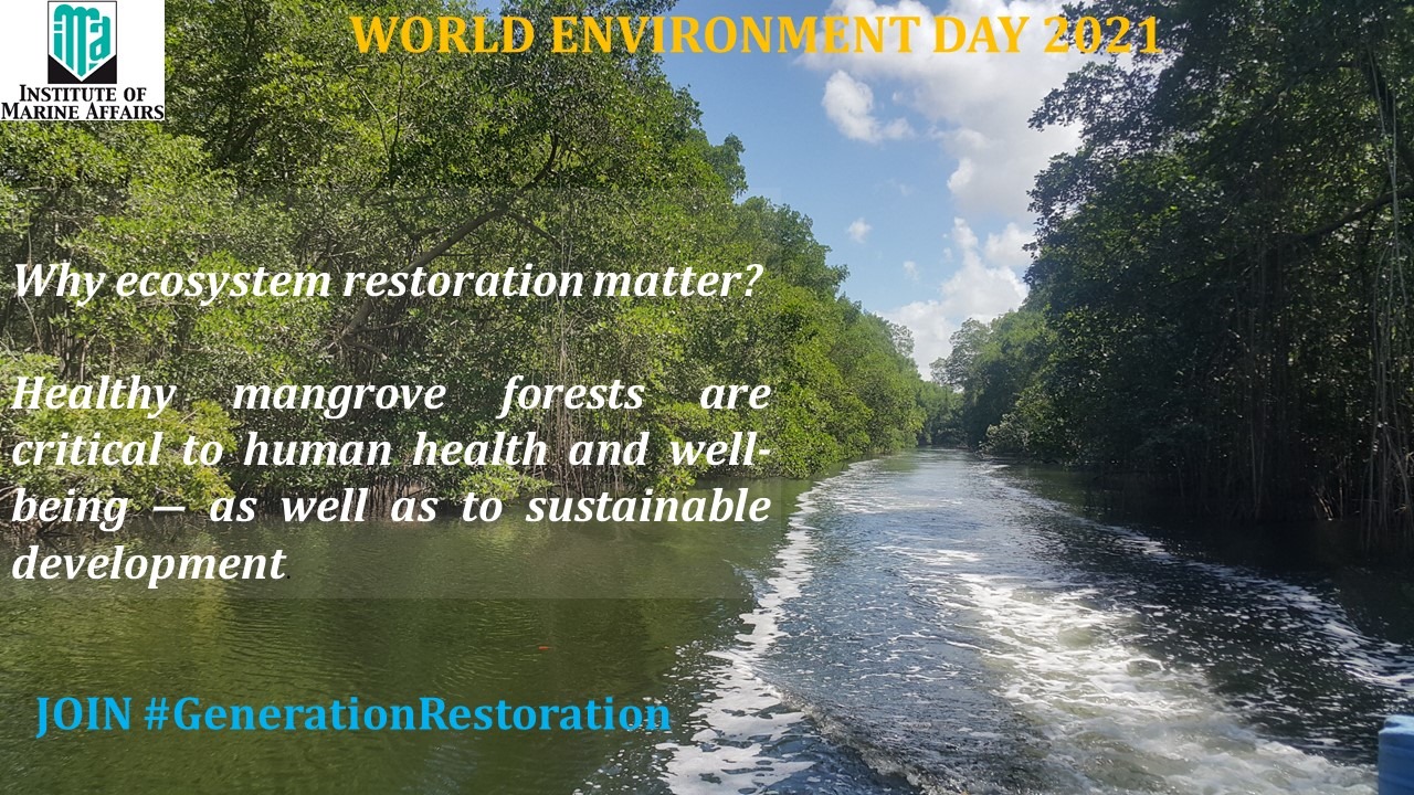 Why ecosystem restoration... - Institute of Marine Affairs | Facebook