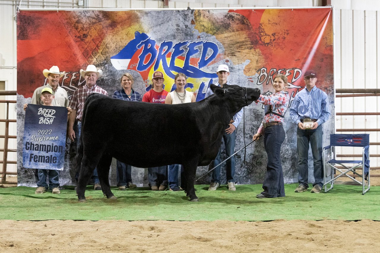 Colorado Breed Bash Home Facebook