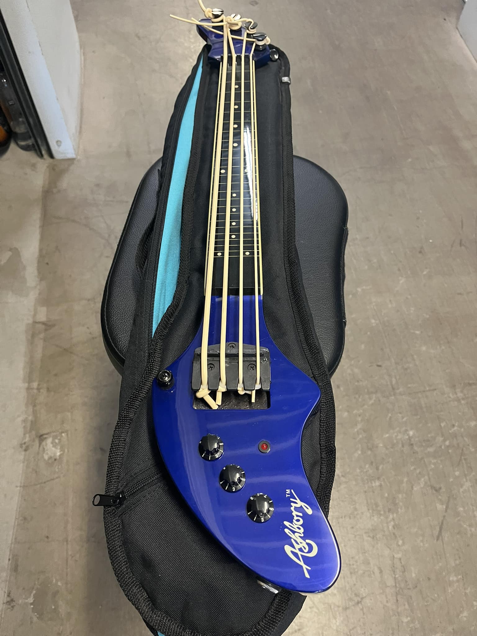 Is DeArmond Ashbory bass worth $25?