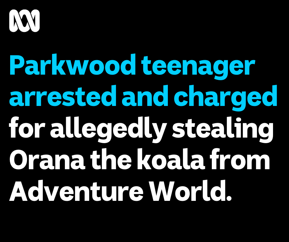 ABC Perth - ‼️ STOLEN KOALA ARREST ‼️ A 17-year-old... | Facebook