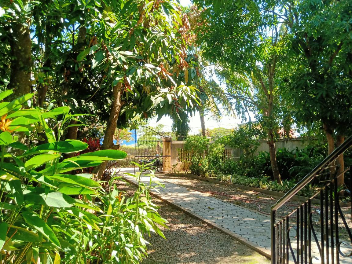 3 beds.3 baths wooden private house nice green garden trees for rent ...