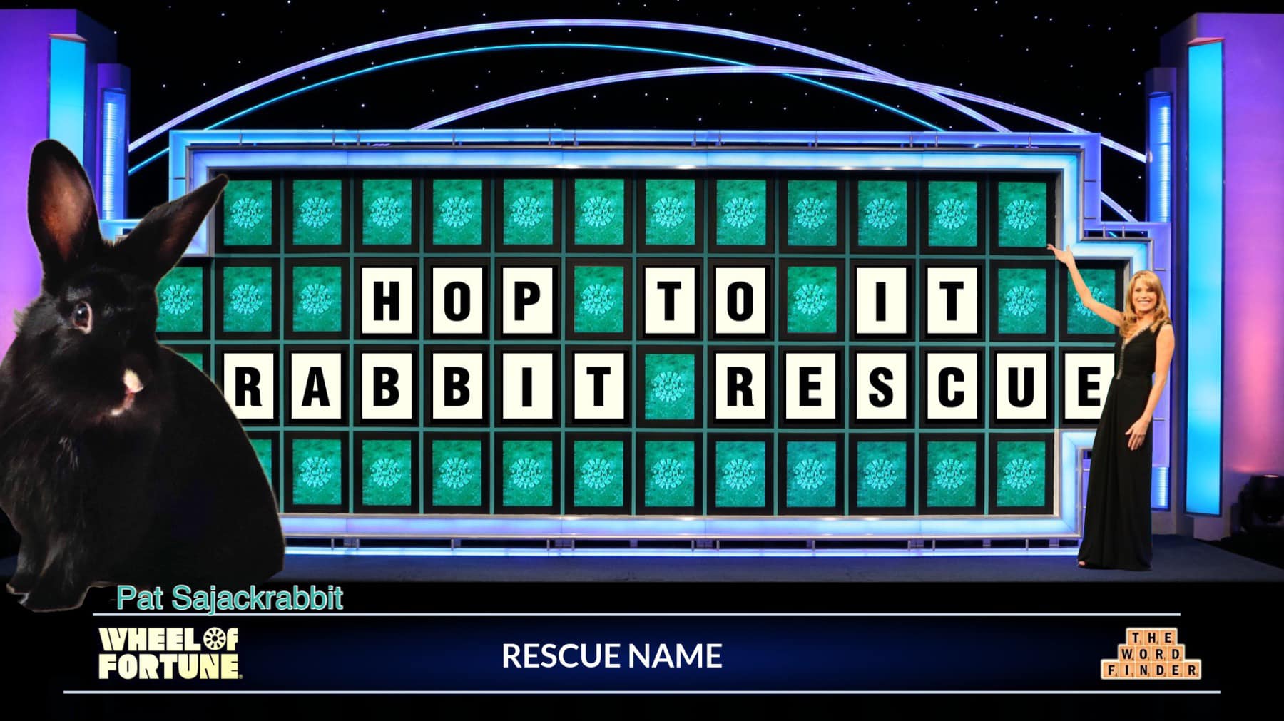 Hop To It Rabbit Rescue | Lockport IL