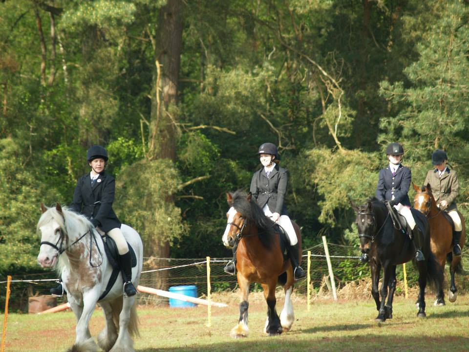 Elstead Riding Club - #ThrowbackThursday to our August Fun Show in 2014 ...