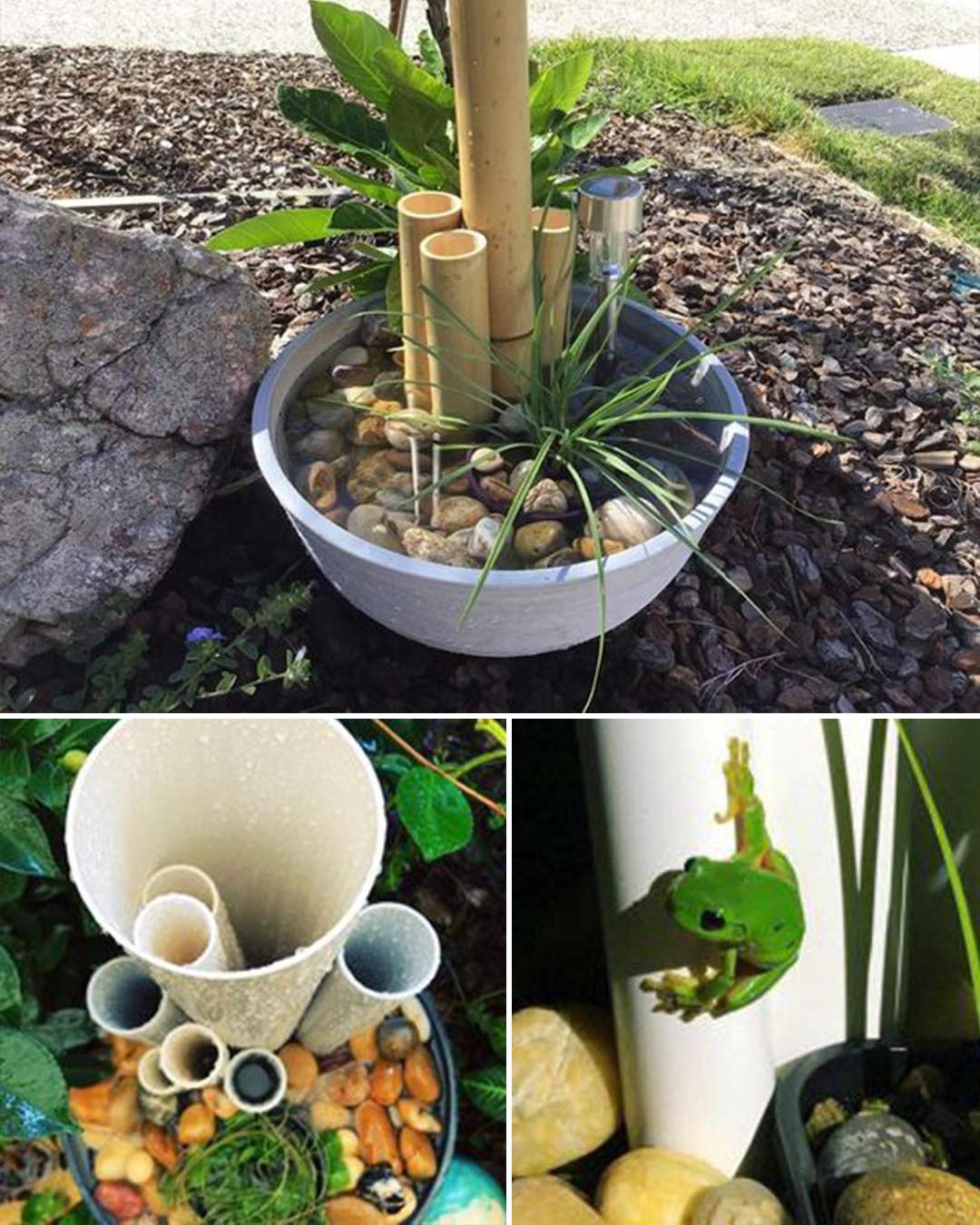 Why and How to Install a Frog Hotel... - Plants and gardening | Facebook