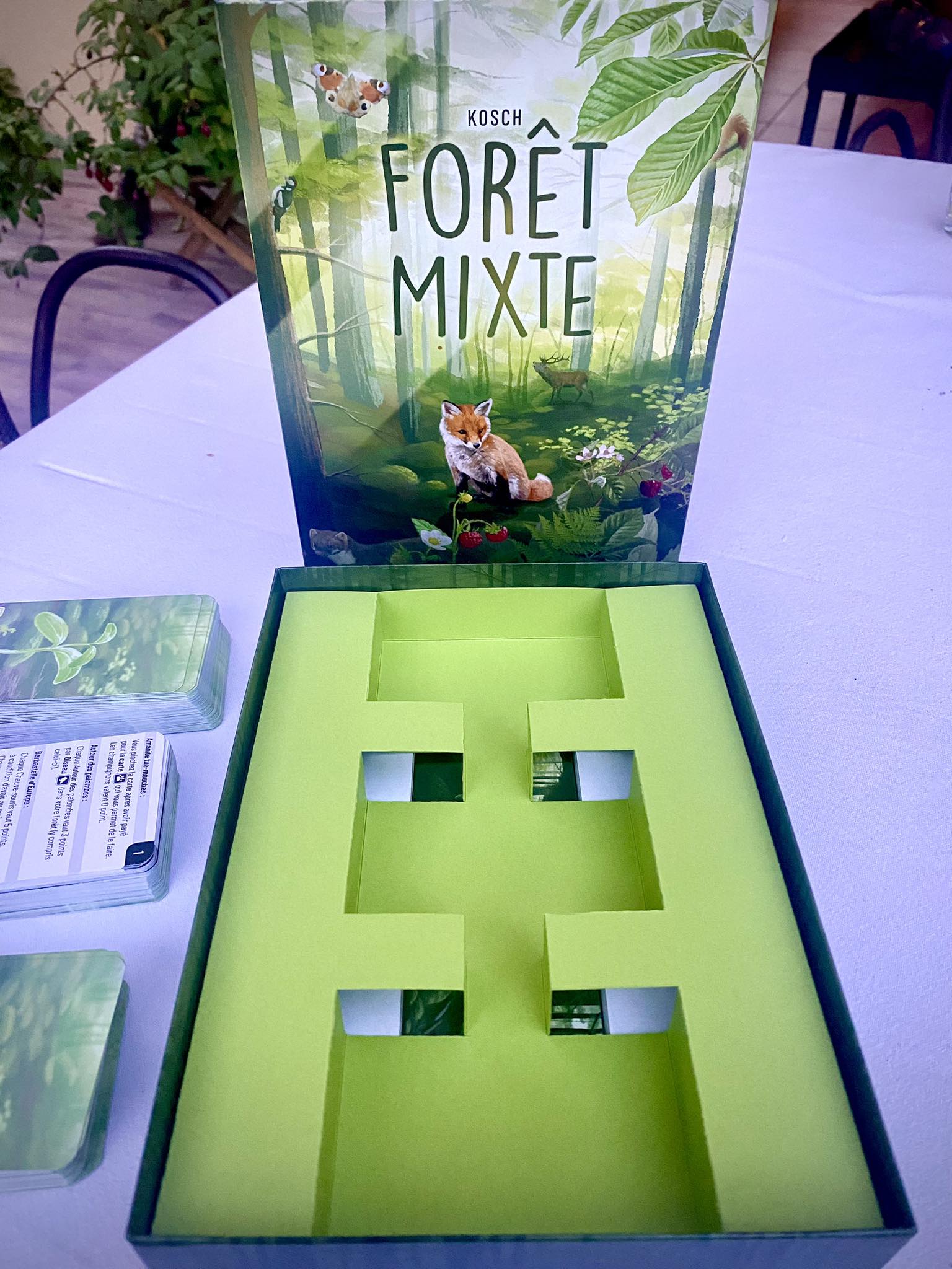 Forêt mixte - Extension Lisière de forêt - Lookout Games