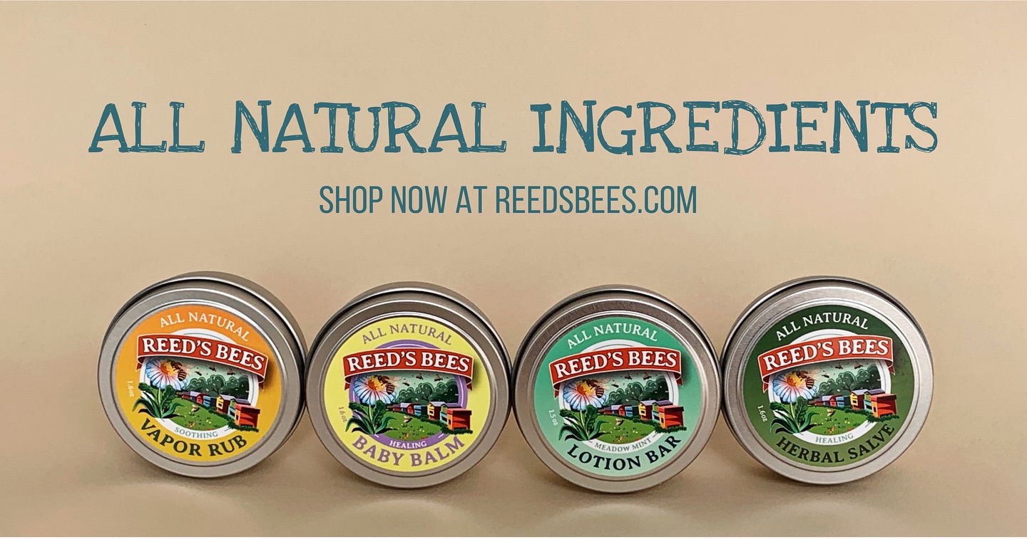 Reed's Bees