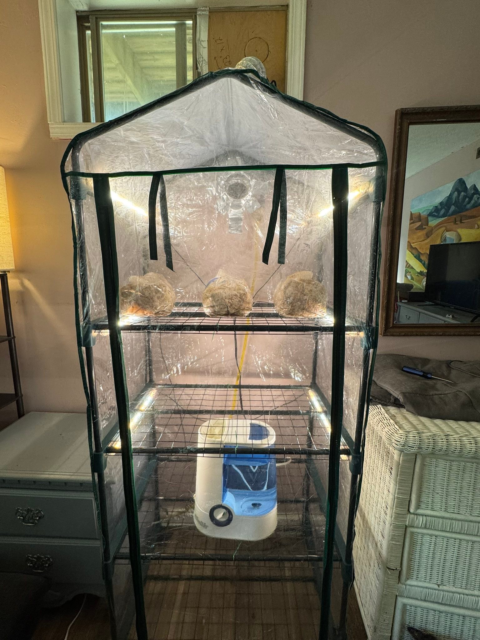 zelt feuerstelle Fire Beauty 66 cm Stahl-Feuerstelle mit Grillrost und Funkenschutz, 360°-Luftstrom-Boost-Technologie, weniger Rauch, größere Flammen, robuste, tragbare Camping-Feuerstelle für Hinterhof, Strand Garten Dodge Auto Adaptor Color:Black Camping Homair L'Île du Hauptkategorie:Themen