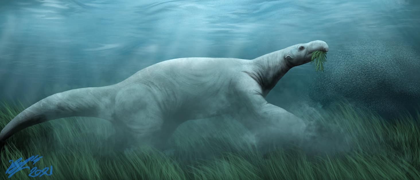 WORLD OF PREHISTORIC CREATURES | Just a regular day at a Late Miocene ...
