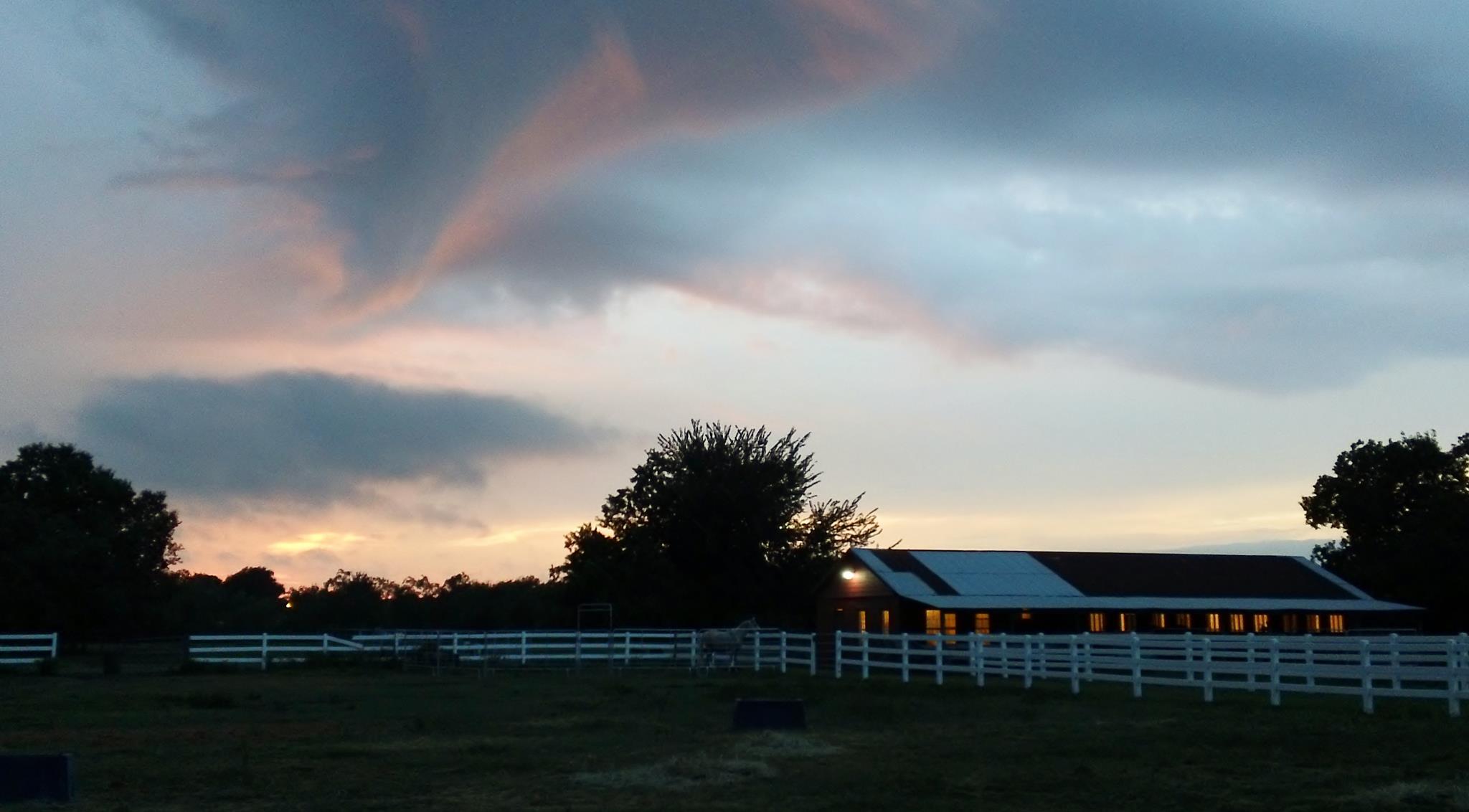 Red Dun Ranch | Houston TX