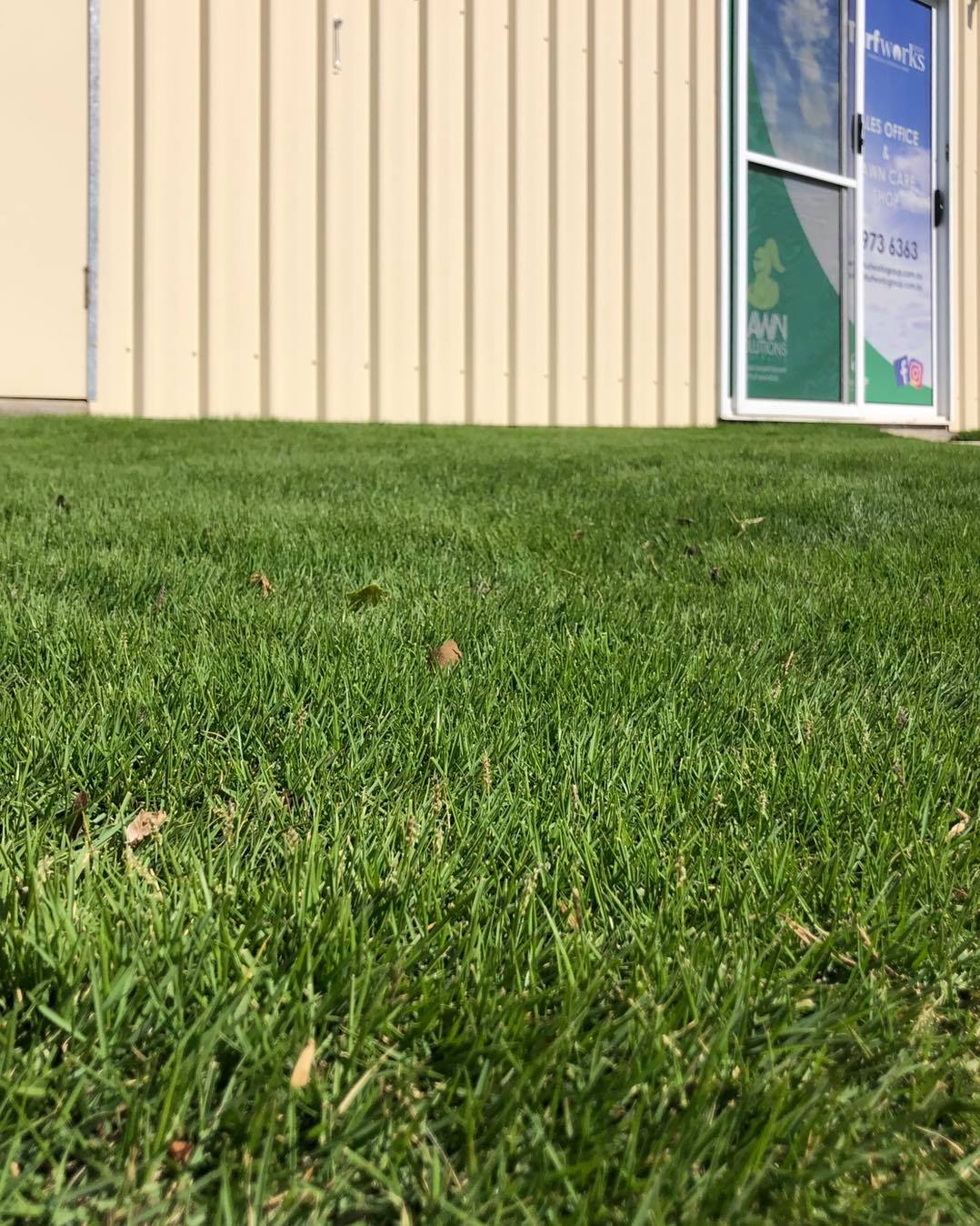 Turfworks Group - The colour in the Sir Grange out the...