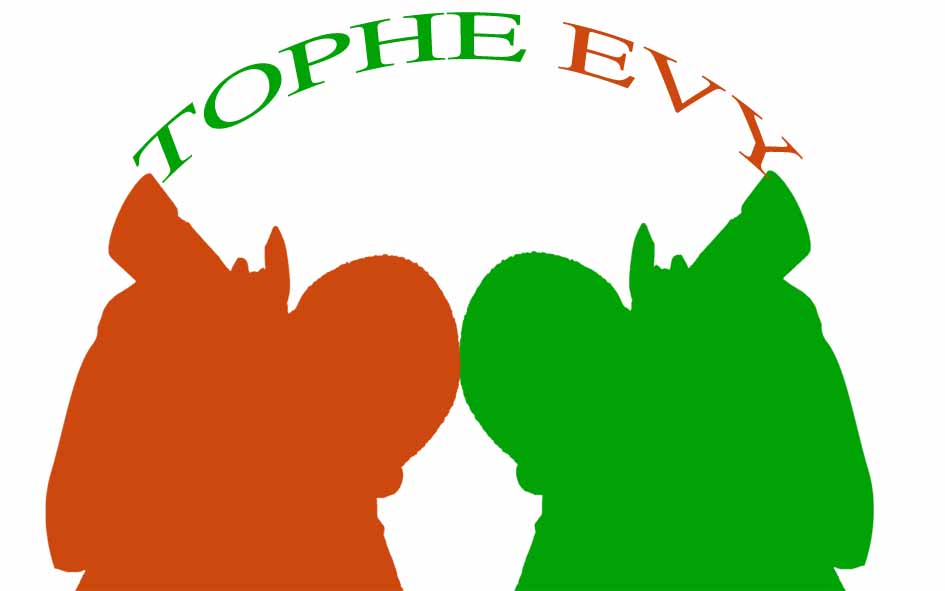 TOPHE EVY | Anyama Abidjan