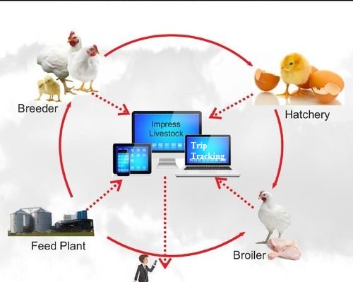 PoultryCare - Poultry ERP Management Software System PoultryCare is ...