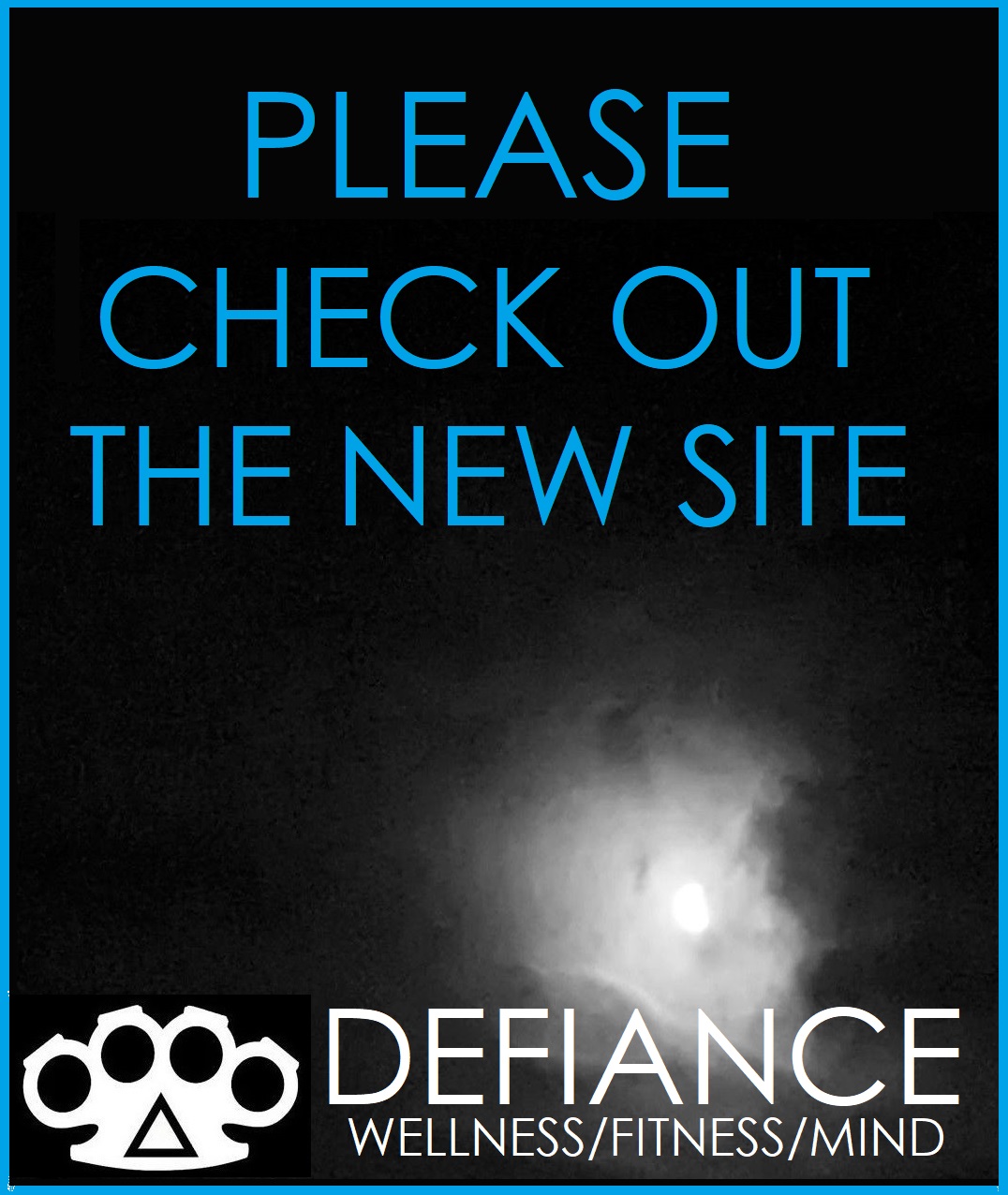 Defiance Decals