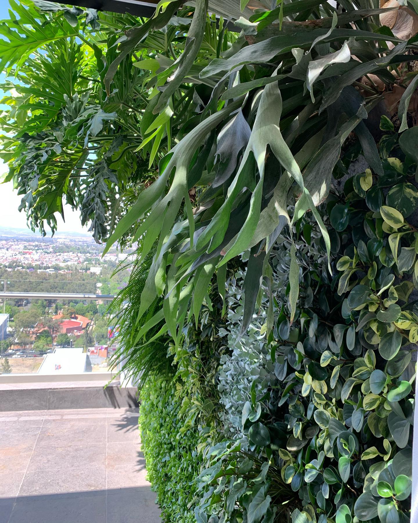 Vertitech - Jardines Verticales