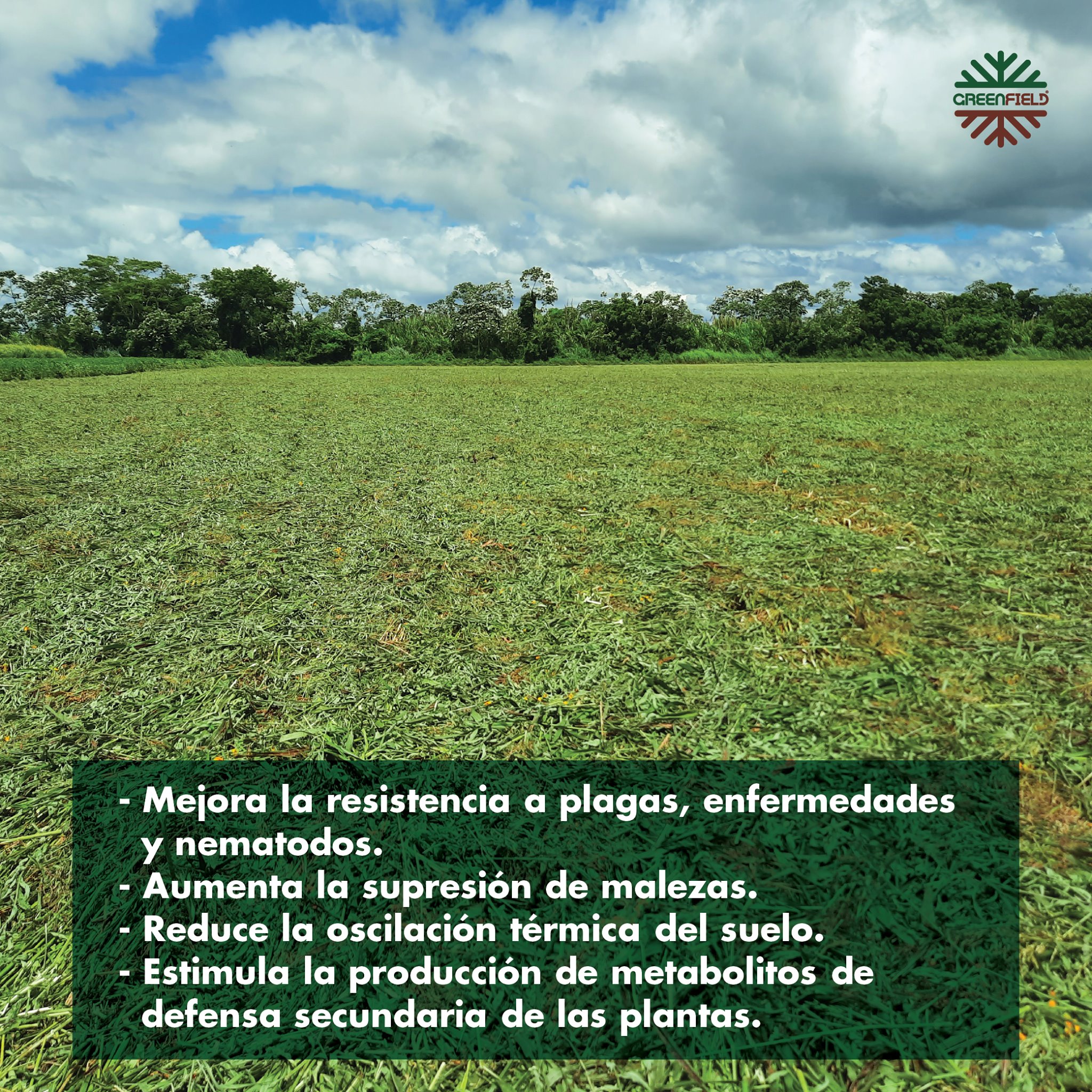 Greenfield SRL - La salud de la tierra de tu cultivo esta... | Facebook
