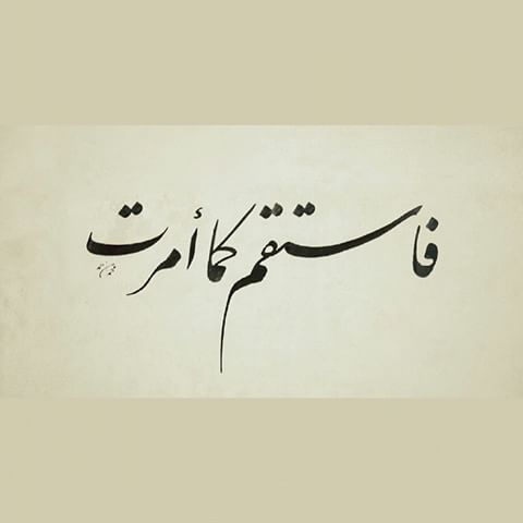 شعر هبد