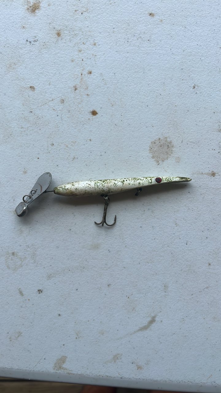 do fishing lures degrade HD Trout 2.25" the heavy belly of the jig will slide through the water column allowing you to fish underneath docks Bottom Fishing Tactics for Snapper