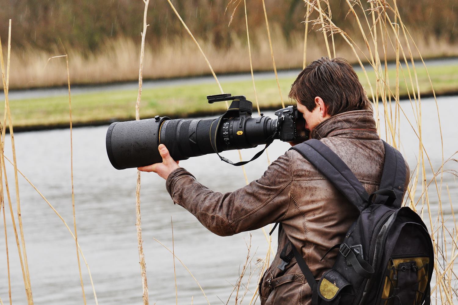 Arné Roest Natuurfotografie... - Arné Roest Natuurfotografie