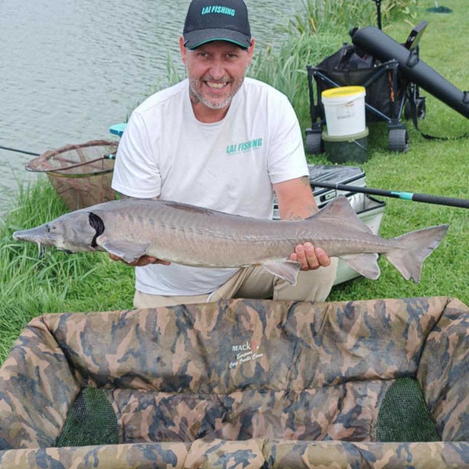 Ludo Lai Fishing Ludo on Reels | Facebook