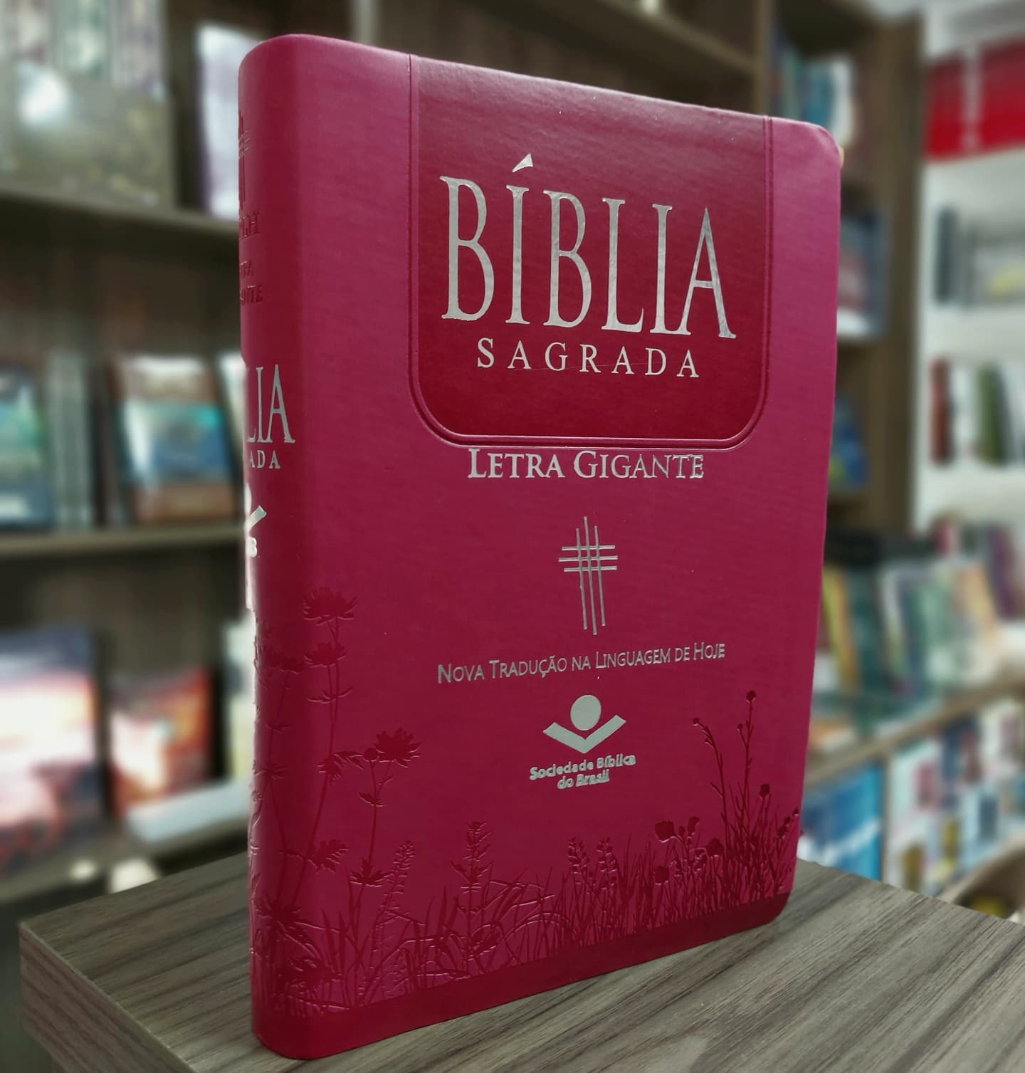 Bíblia Sagrada Na Nova... - Livraria Evangélica Novas de Paz