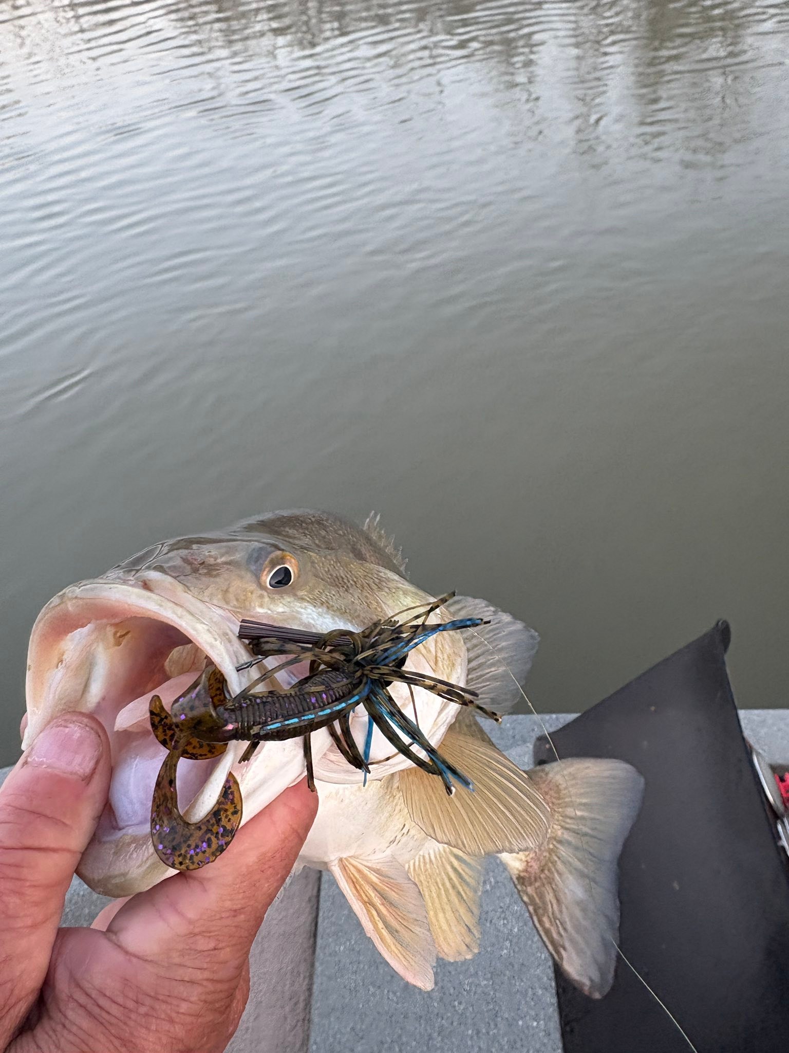 best all around st croix musky rod St. Legend Tournament TMGSC710MF Casting reelaccessories The result is a Abu Garcia Abumatic SX Style:Style: Double Knot / Size: S
