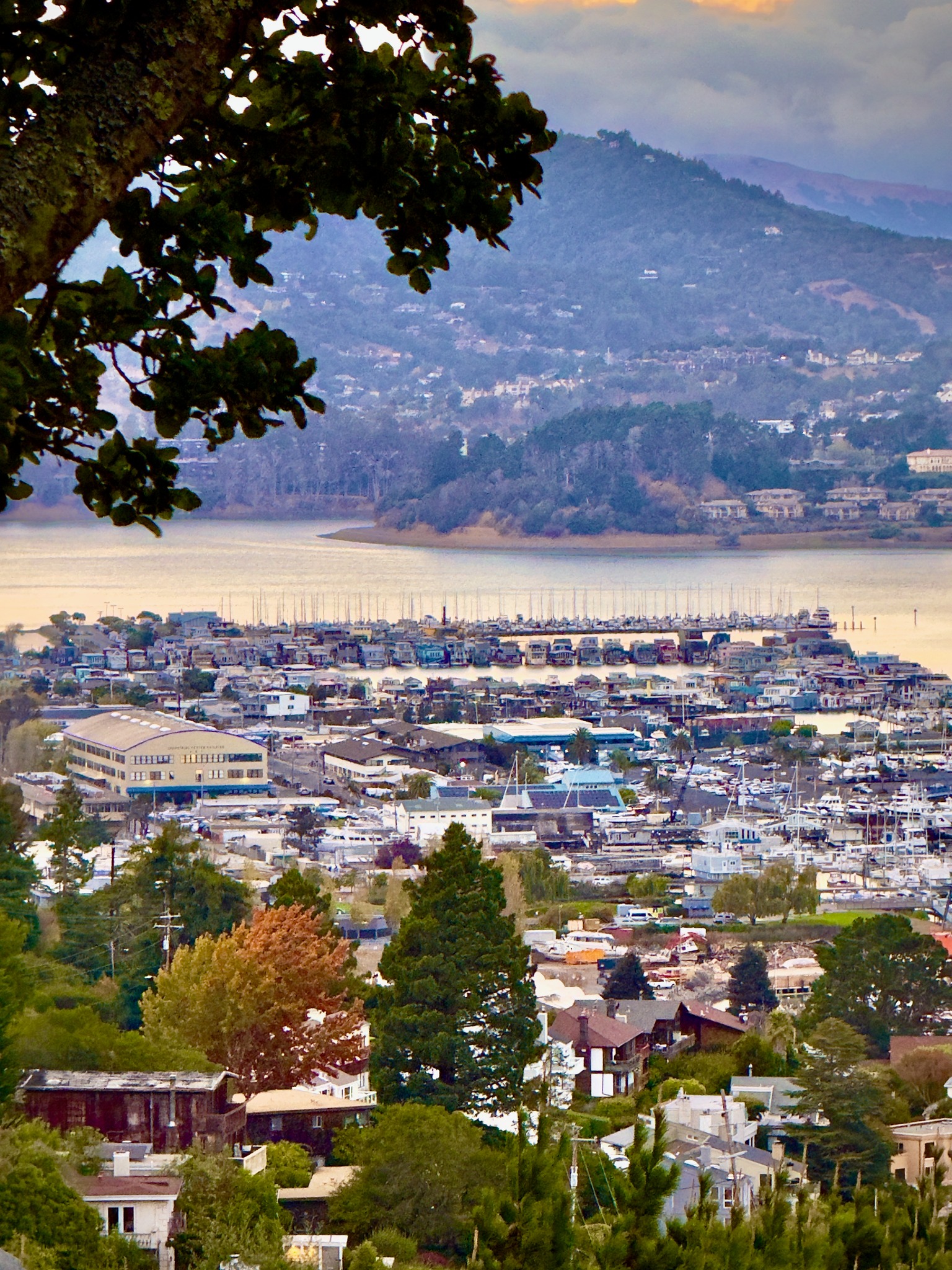 Sausalito, CA.** **