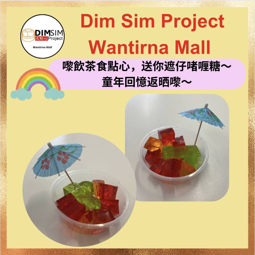 Dim Sim Project