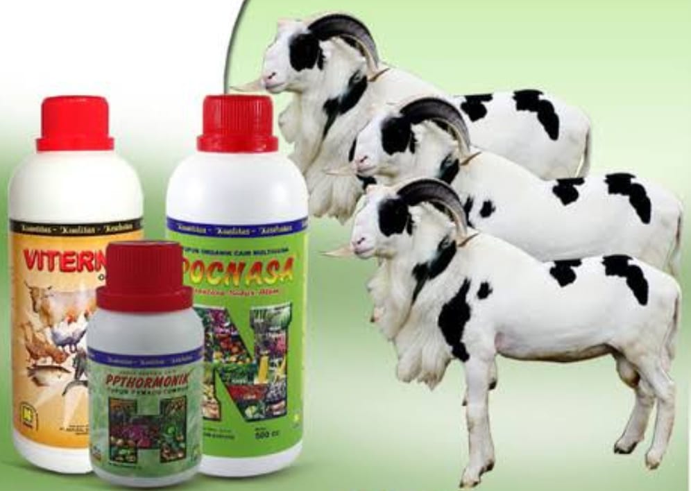 Peternakan - PAKET BUDIDAYA BANDENG ORGANIK NASA ️ISI PAKET : 1 BOTOL ...