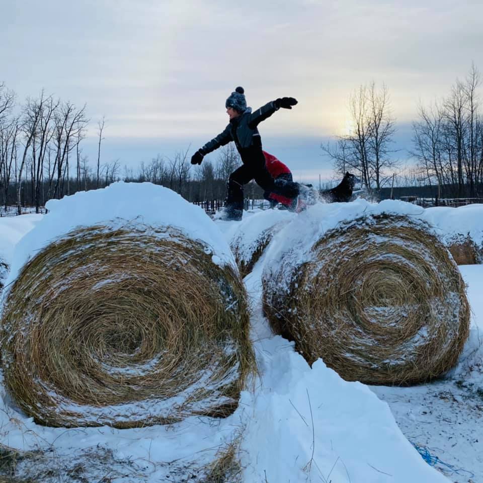 The Art of Bale Jumping ~... - Northern Roots Family Farm | Facebook