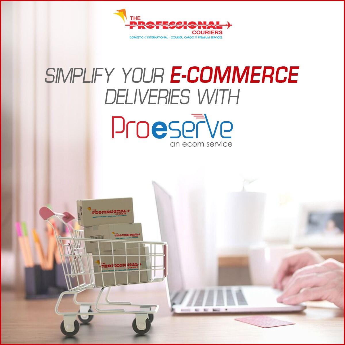 The Professional - Worried about delivering your E-commerce packages ...