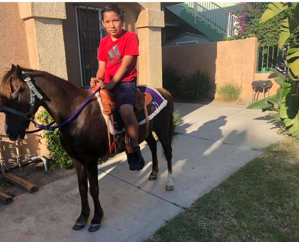 Coco’s Pony Rides