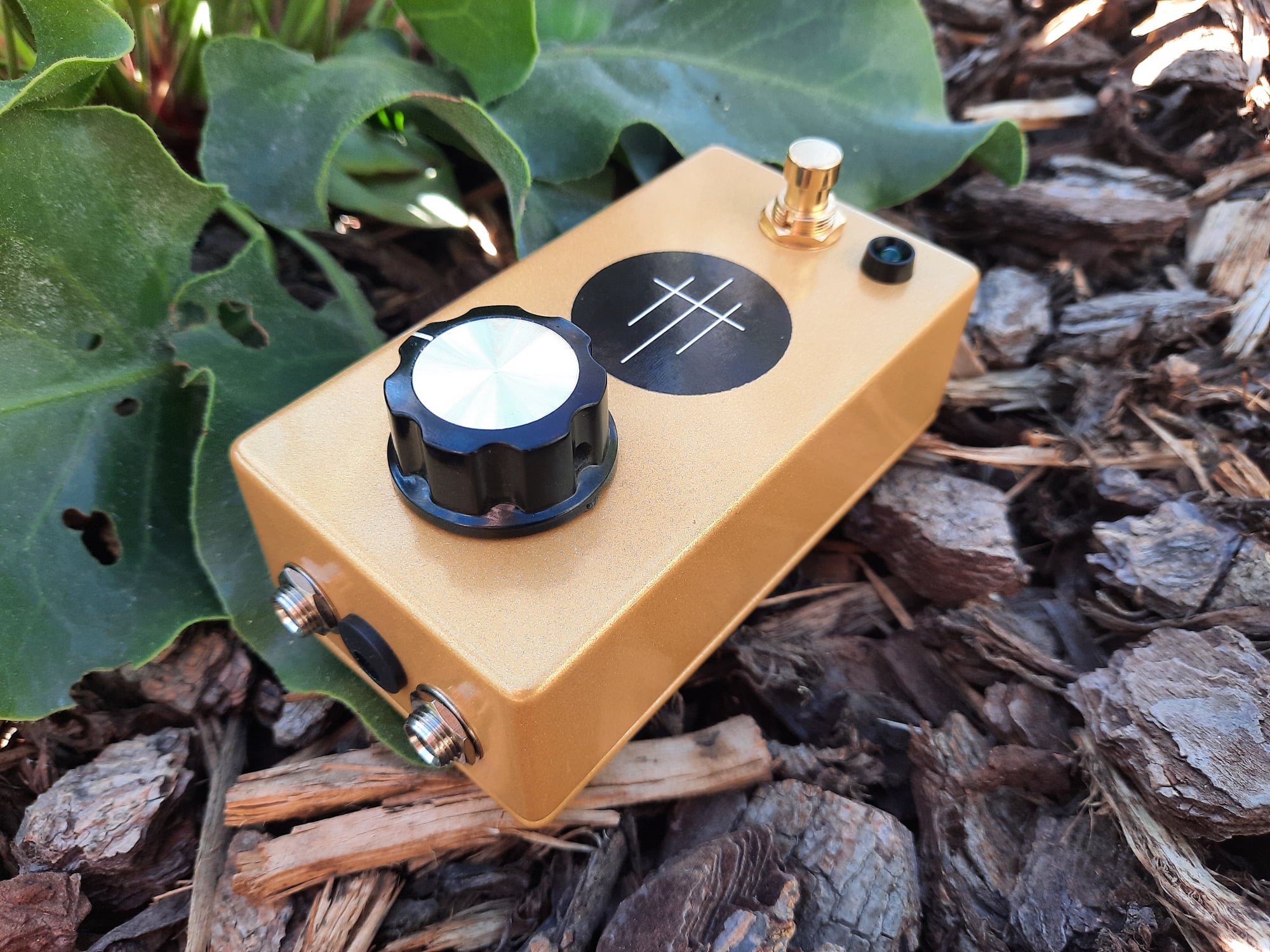 Modified EQD Acapulco Gold Pedal with Added Gain and Filter Controls