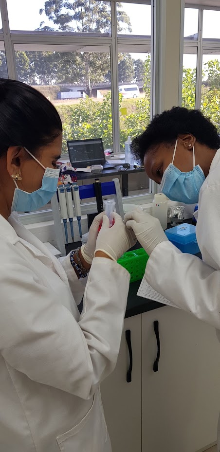 Liselo Labs Lesotho | Mokhotlong