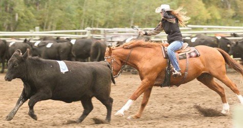 HANG ON TO YOUR HATS!... - Manitoba Team Penning Association | Facebook