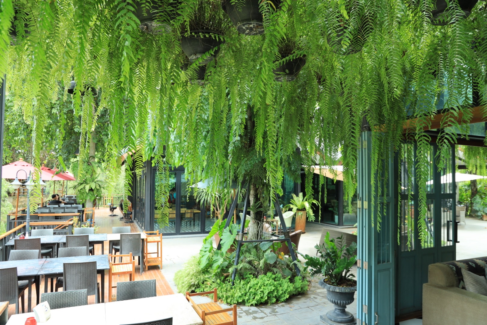 พรุ่งนี้ร้าน Cafe 'inn Factory.... - Cafe' inn factory | Facebook