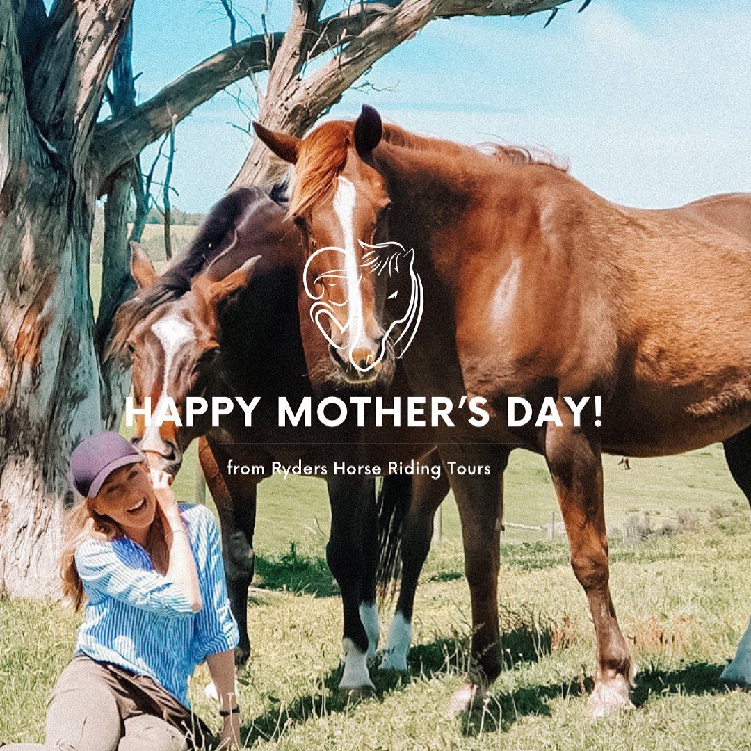 Ryders Horse Riding Tours | Labertouche VIC