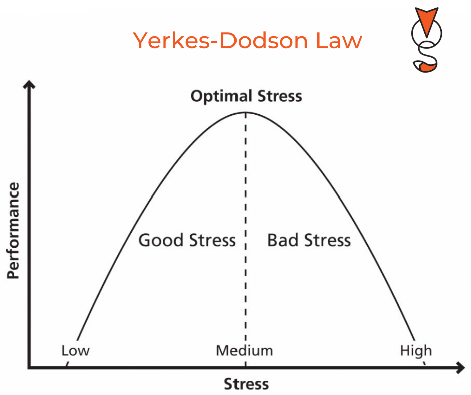 Vos Consulting - Pty Ltd - The Yerkes-Dodson law is a model of the ...