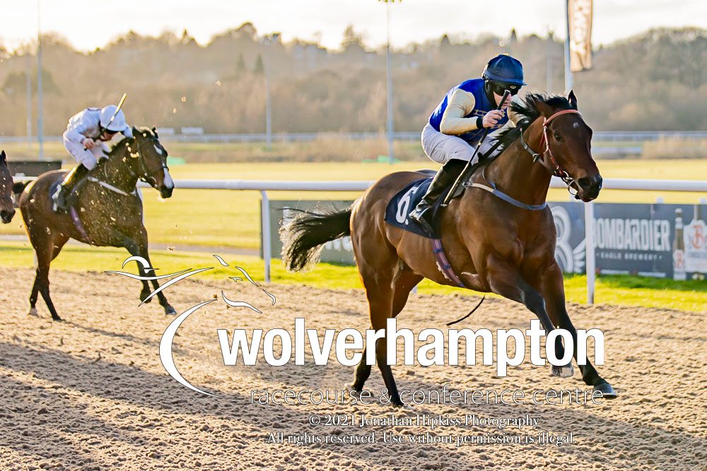 This evening's AW racing gets... - Wolverhampton Racecourse | Facebook